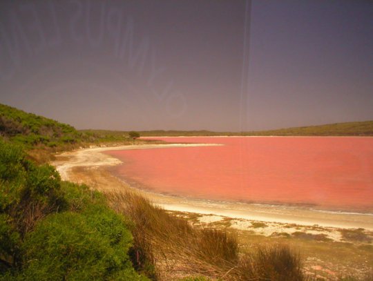 Lake Hillier: The Pink Lake in Australia