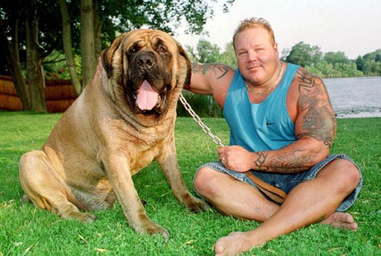 The Biggest Dog Of The World