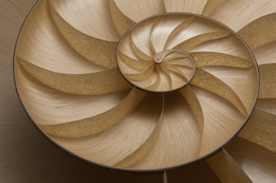Nautilus II Table by Marc Fish