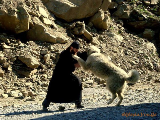 თბილი სურათია