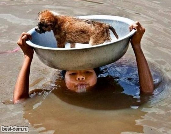 წყალდიდობის დროს ბავშვი ძაღლის გადარჩენას ცდილობს