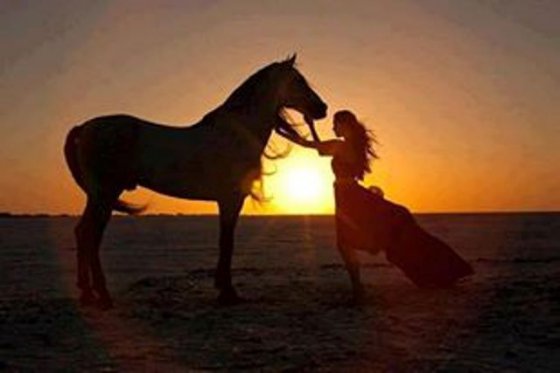 ქალი და ცხენი