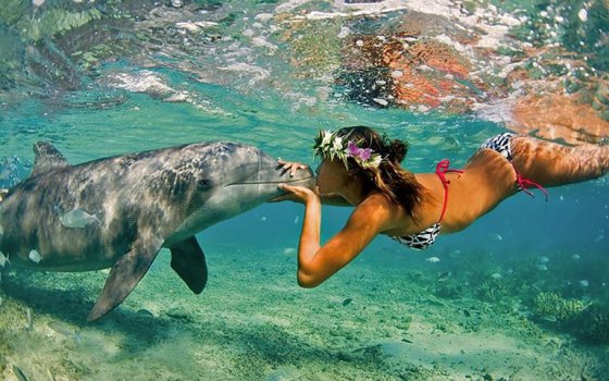 დელფინი და გოგონა