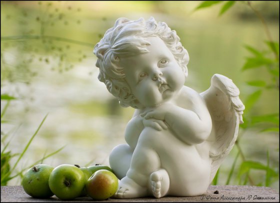 ვაშლები და პატარა ანგელოზი