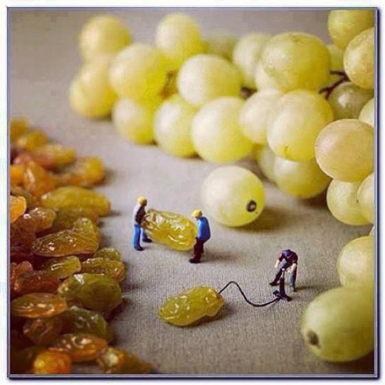 როგორ "კეთდება" ყურძენი