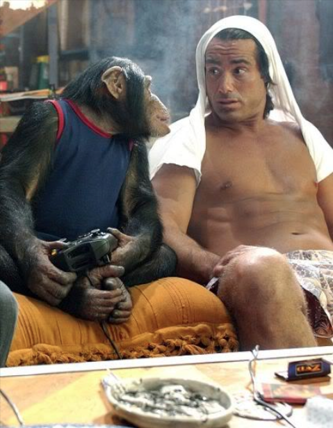 ორი მაიმუნი