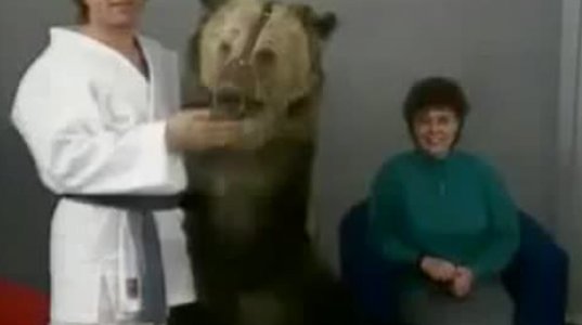 დათვი თავს დაესხა ქალს