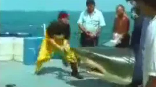 ზვიგენმა პირიდან ადამიანი გადმოაგდო